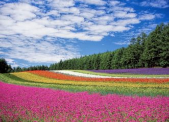 konstgjorda blommor